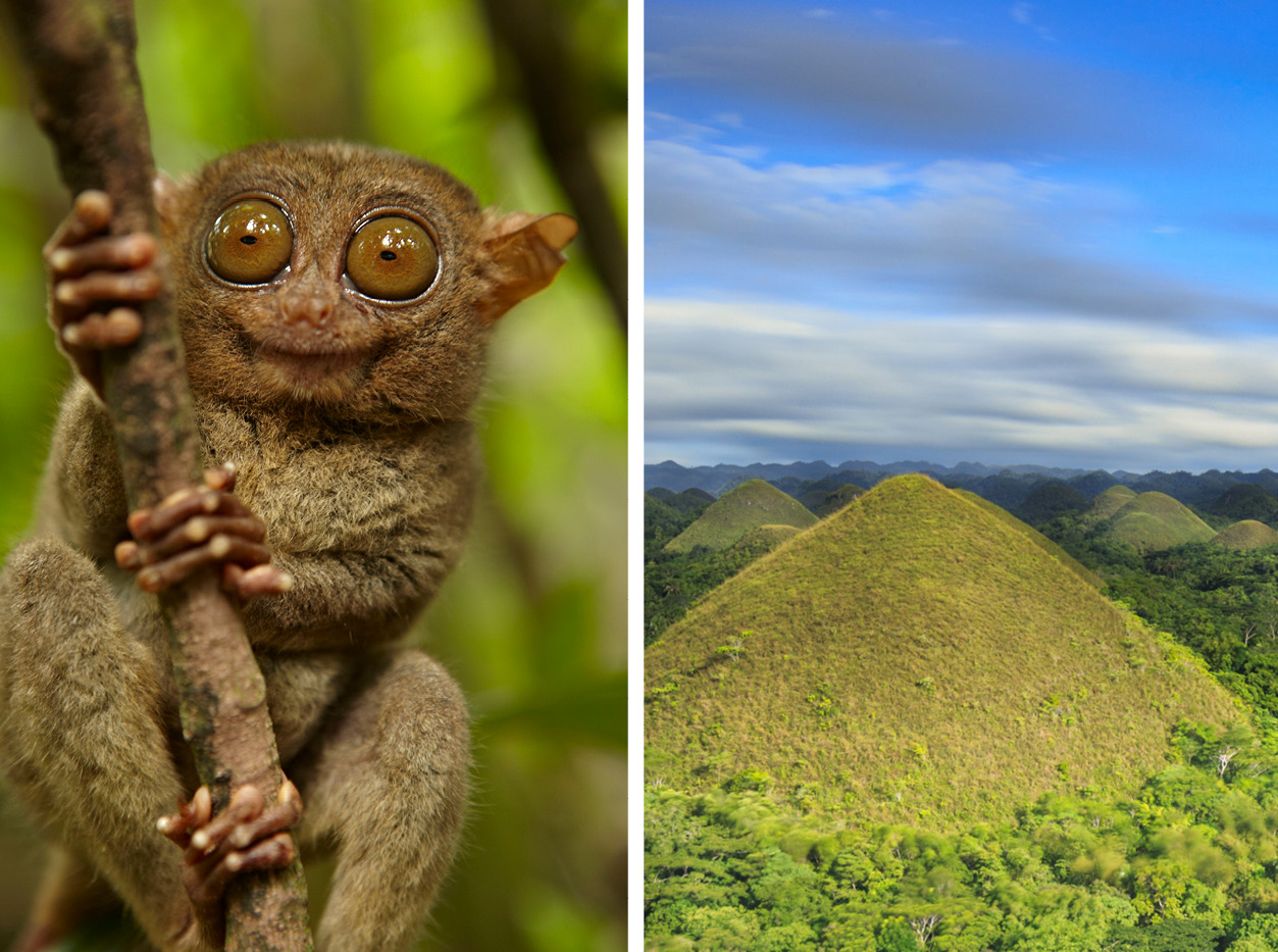  Chocolate Hills and tarsier holiday in the philipinnes