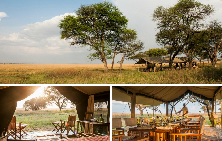 Serengeti safari camp Tanzania safari
