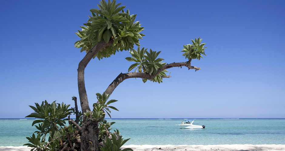 Mauritius Beach - Turquoise Holidays